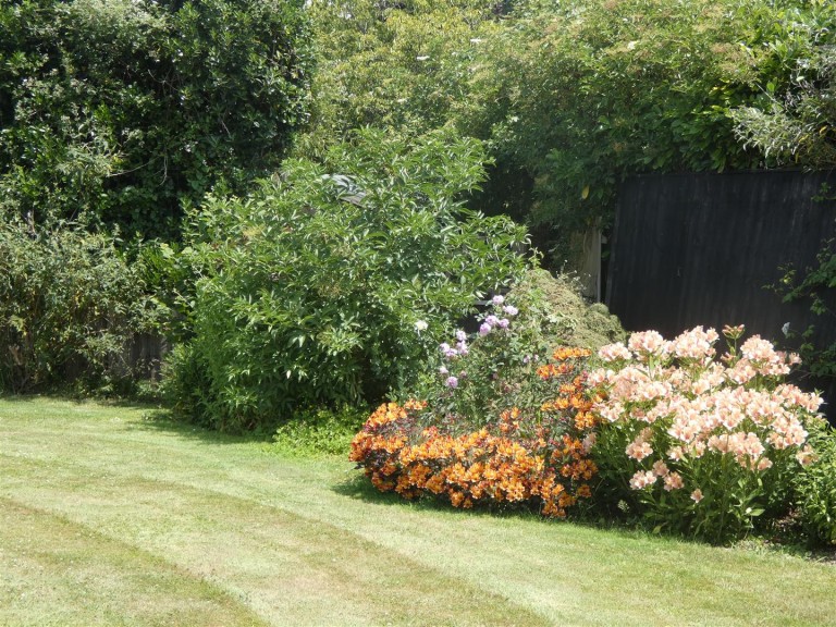 Images for Stalbridge Weston, Sturminster Newton