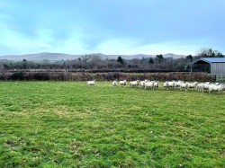 Images for Okehampton
