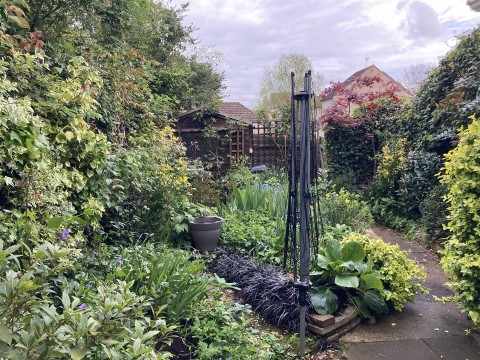 Click the photo for more details of Forehill, Ely