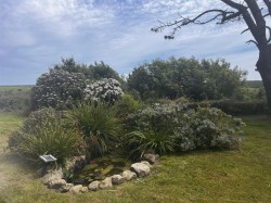 Images for Newbridge, Penzance