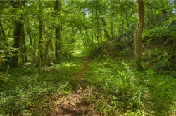 Images for Littleham, Bideford