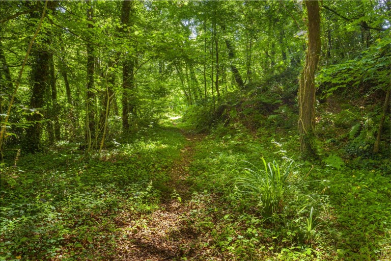 Images for Littleham, Bideford