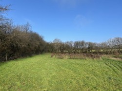 Images for Meshaw