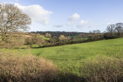 Images for Linseed Drive, Axminster
