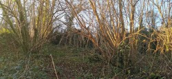 Images for Bere Ferrers
