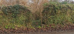Images for Bere Ferrers