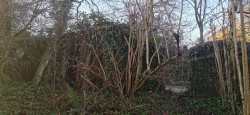 Images for Bere Ferrers