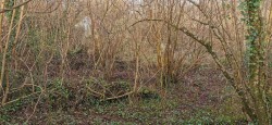 Images for Bere Ferrers