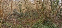 Images for Bere Ferrers