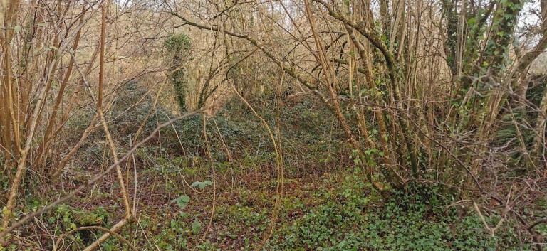 Images for Bere Ferrers