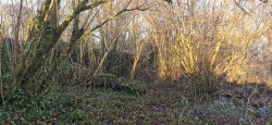 Images for Bere Ferrers