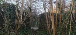 Images for Bere Ferrers