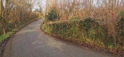 Images for Bere Ferrers
