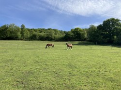 Images for Blackborough, Cullompton