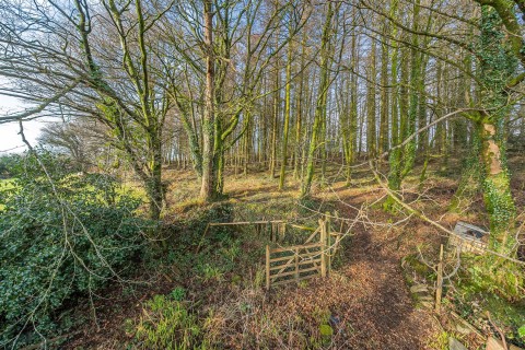 Click the photo for more details of St. Anns Chapel, Gunnislake