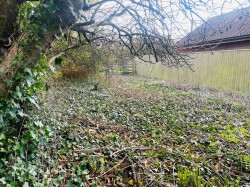 Images for Shorwell, Isle of Wight