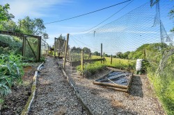 Images for Venn Ottery, Ottery St Mary