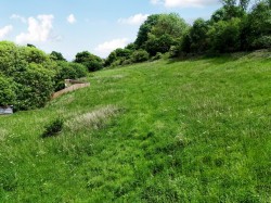 Images for Shute Lane, Bruton