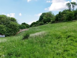 Images for Shute Lane, Bruton