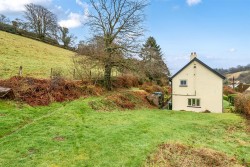 Images for Exford