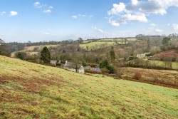 Images for Exford