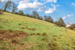 Images for Exford