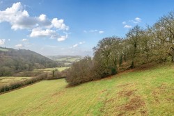 Images for Exford