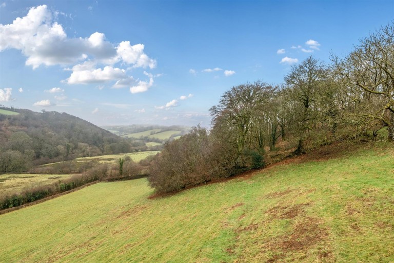 Images for Exford