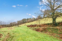 Images for Exford