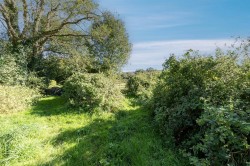 Images for Gerway Lane, Ottery St. Mary