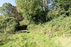 Images for Gerway Lane, Ottery St. Mary