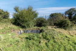Images for Gerway Lane, Ottery St. Mary