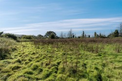 Images for Gerway Lane, Ottery St. Mary