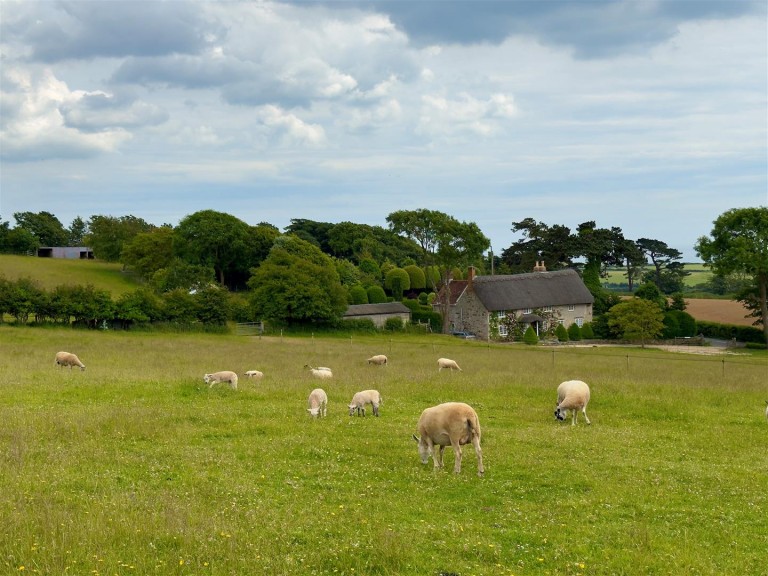 Images for Brighstone, Isle of Wight