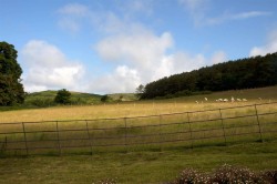 Images for Brighstone, Isle of Wight
