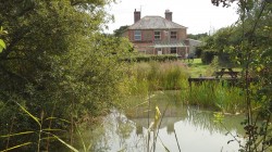 Images for Higher Halstock Leigh