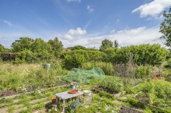 Images for Higher Halstock Leigh