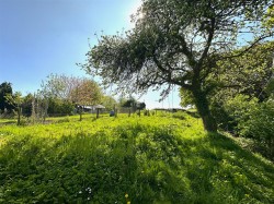 Images for St. James Road, Netherbury, Bridport