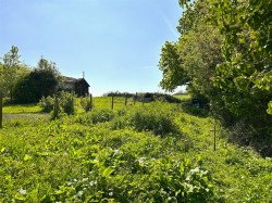 Images for St. James Road, Netherbury, Bridport