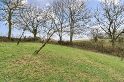 Images for Dommett, Buckland St. Mary, Chard