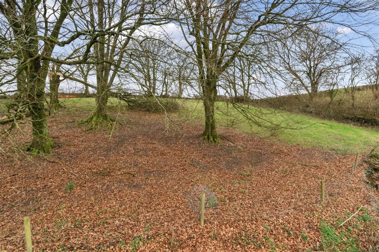 Images for Dommett, Buckland St. Mary, Chard