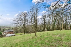 Images for Dommett, Buckland St. Mary, Chard