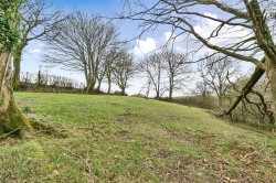 Images for Dommett, Buckland St. Mary, Chard