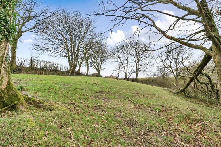 Images for Dommett, Buckland St. Mary, Chard