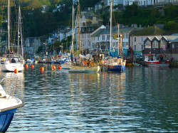 Images for West Looe Hill, Looe