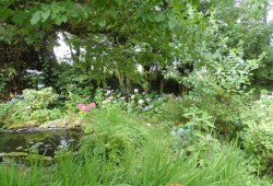 Images for Long Lane, High Street, St. Austell