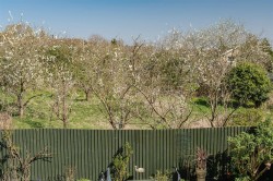 Images for The Southerns, Sutton, Ely
