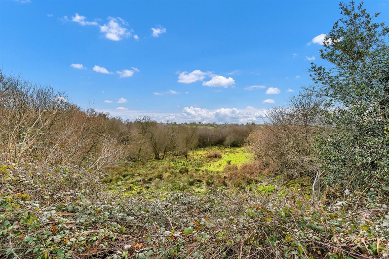 Images for Smeatharpe, Honiton