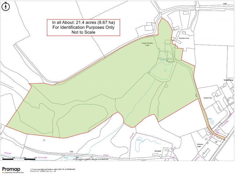 Images for Smeatharpe, Honiton