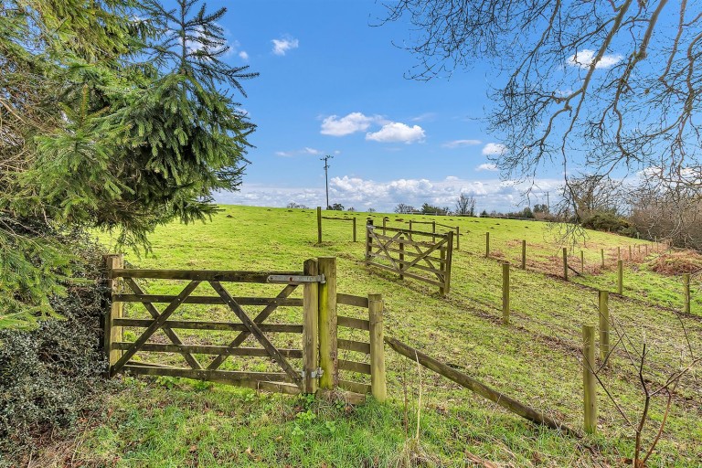 Images for Smeatharpe, Honiton